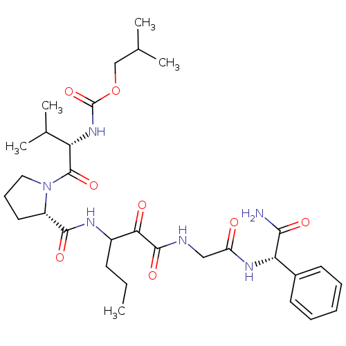 PNG