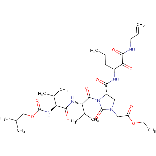 PNG