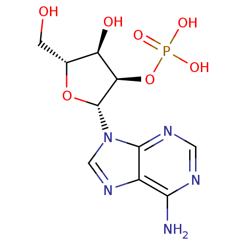 PNG