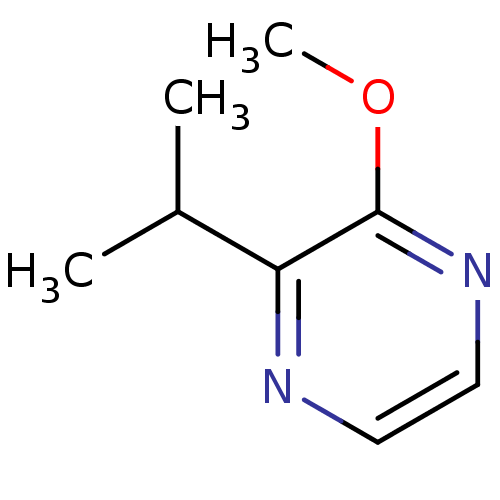 PNG
