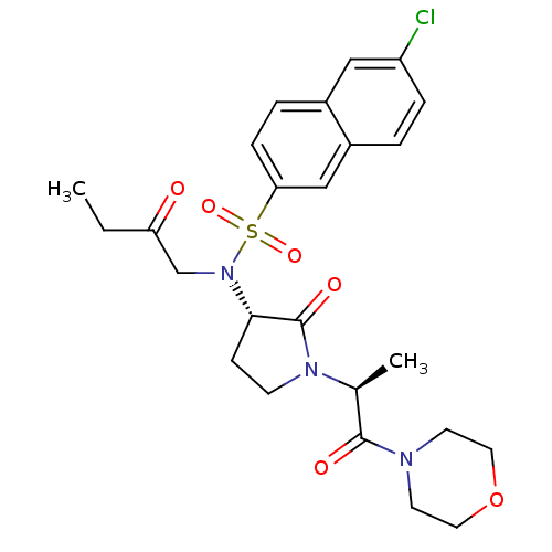 PNG