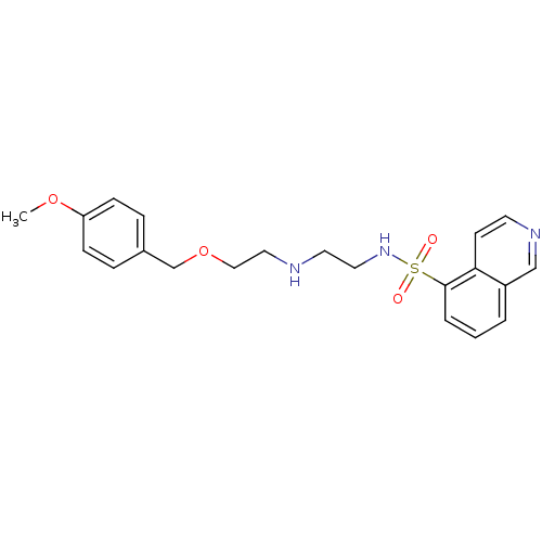 PNG