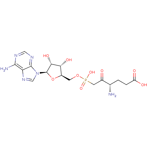 PNG