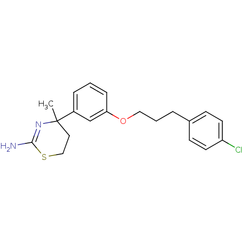 PNG