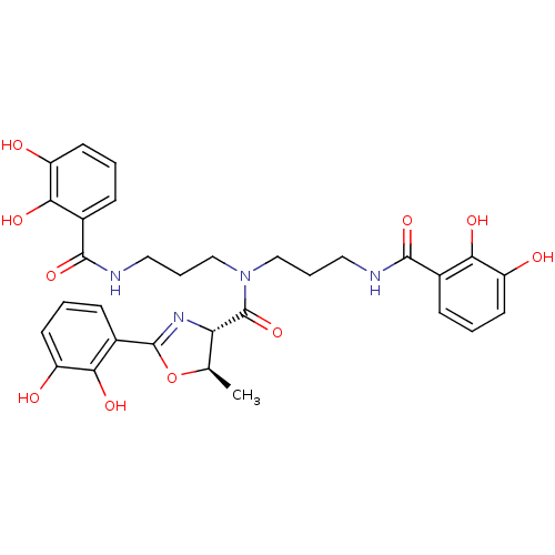 PNG
