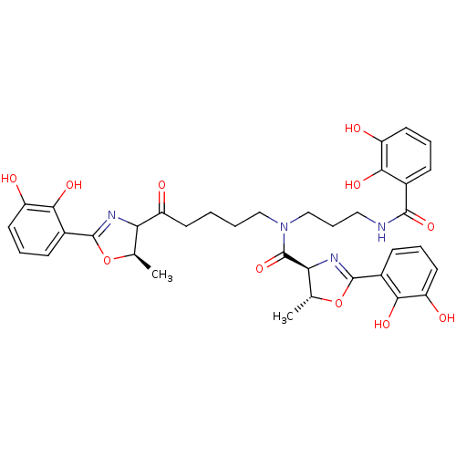 PNG