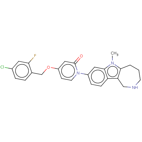 PNG