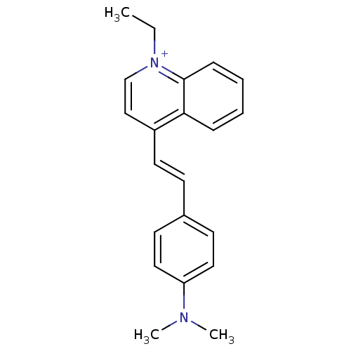 PNG