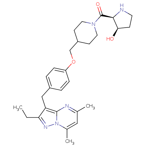 PNG