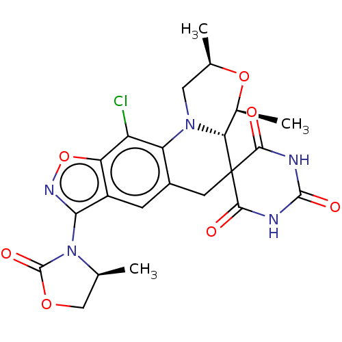 PNG