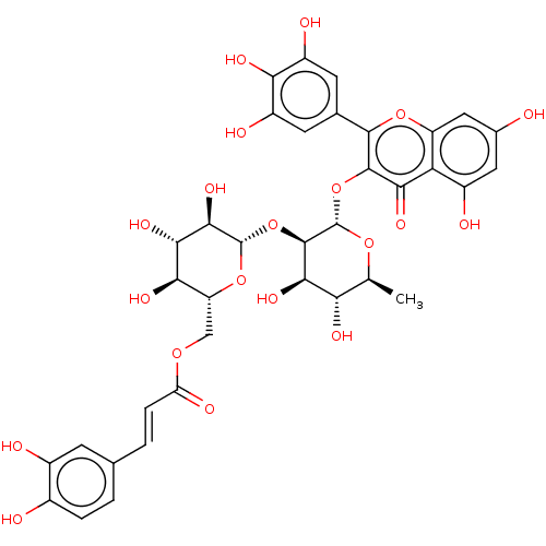 PNG