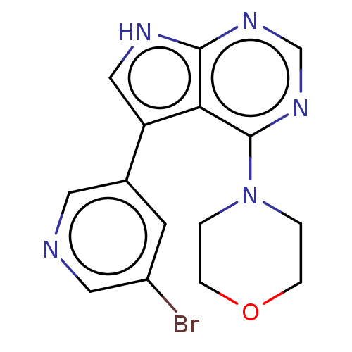 PNG