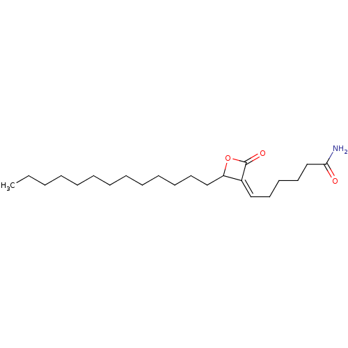 PNG