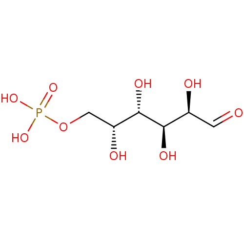 PNG
