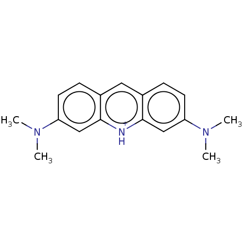 PNG
