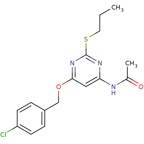PNG