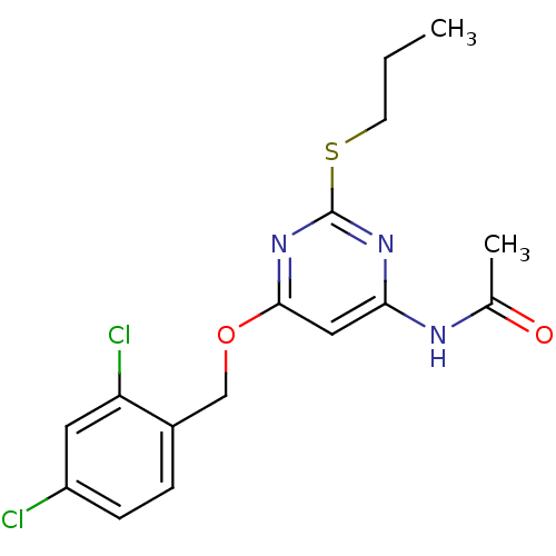 PNG