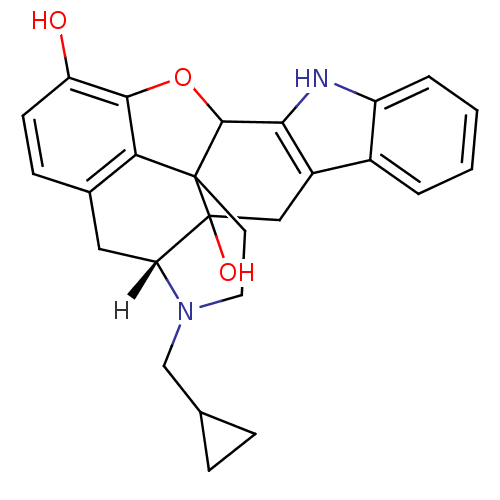 PNG