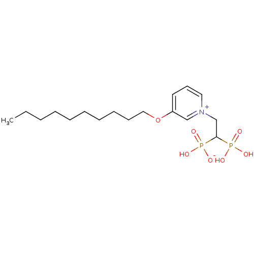 PNG