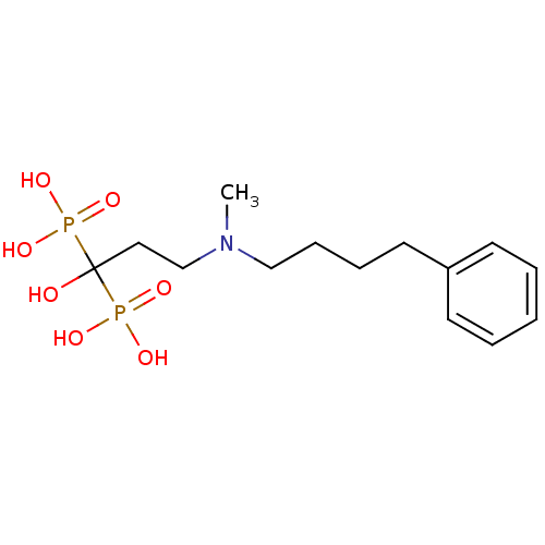 PNG