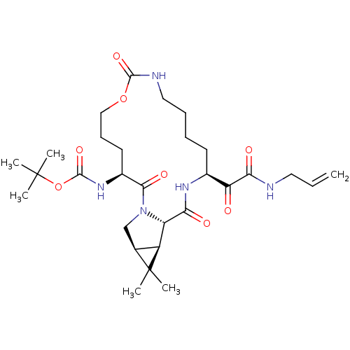 PNG