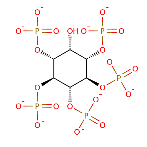 PNG