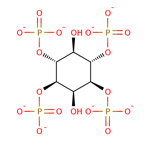 PNG