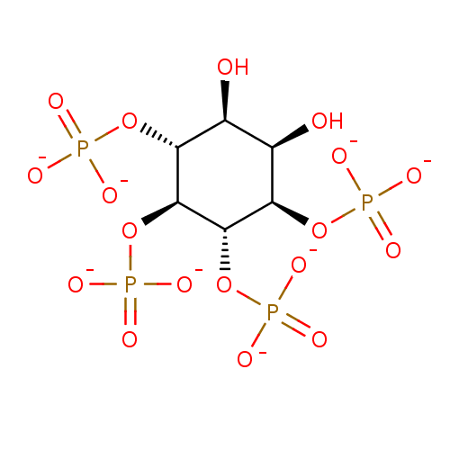 PNG