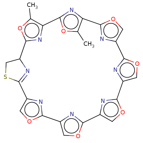 PNG