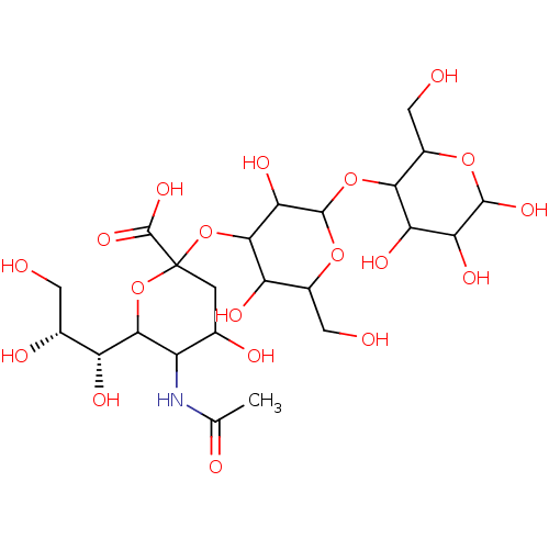 PNG