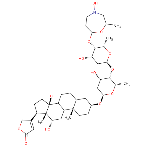 PNG