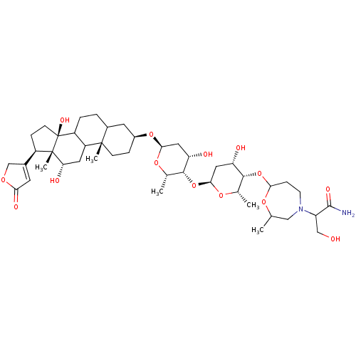 PNG