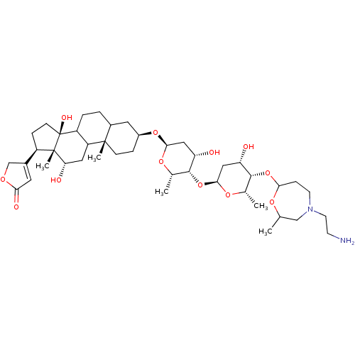 PNG