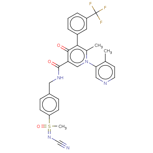 PNG
