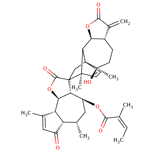 PNG