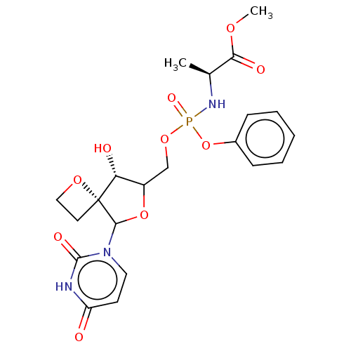 PNG