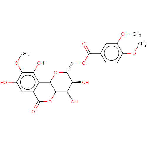 PNG
