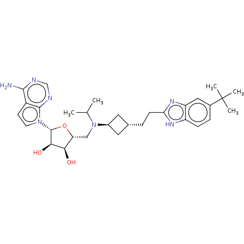 PNG