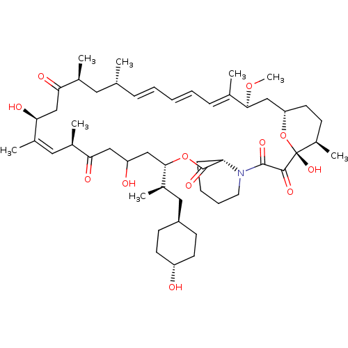 PNG