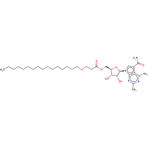 PNG