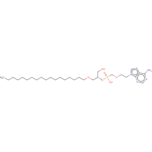 PNG