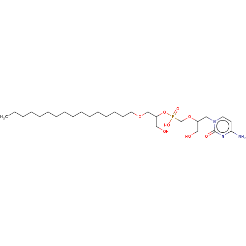 PNG