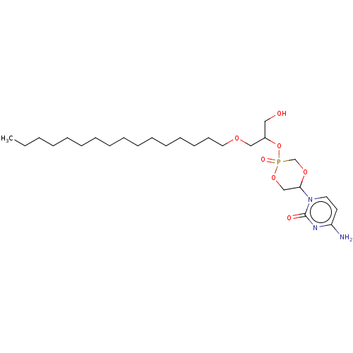PNG