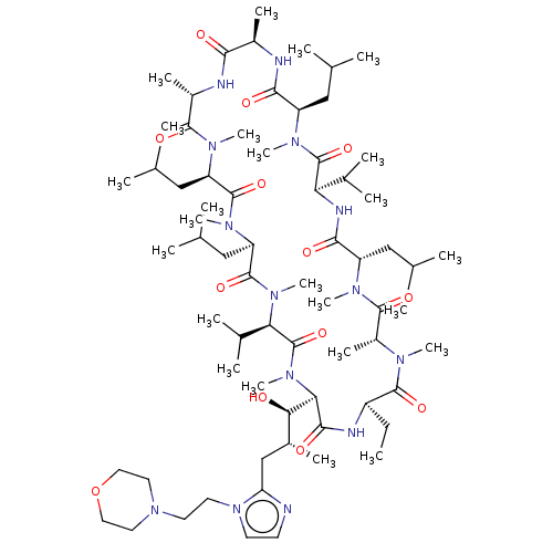 PNG