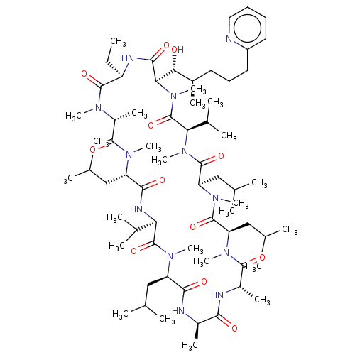 PNG