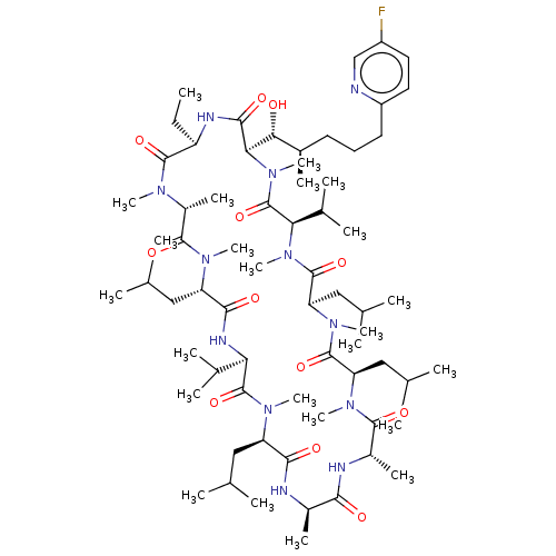 PNG