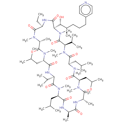 PNG