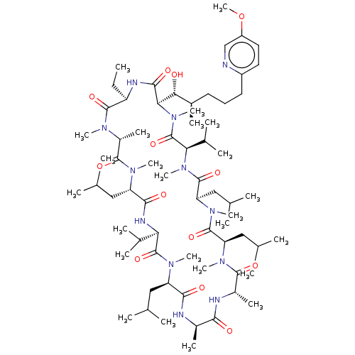 PNG
