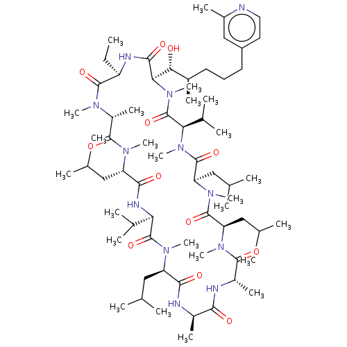 PNG