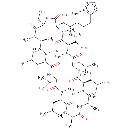 PNG